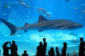 Grand Aquarium